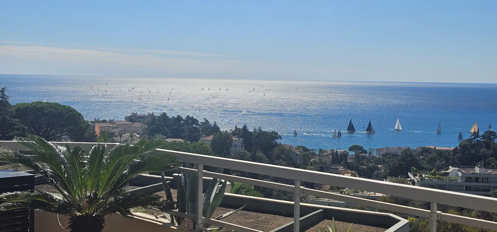 SuperVue: Blick über die Bucht