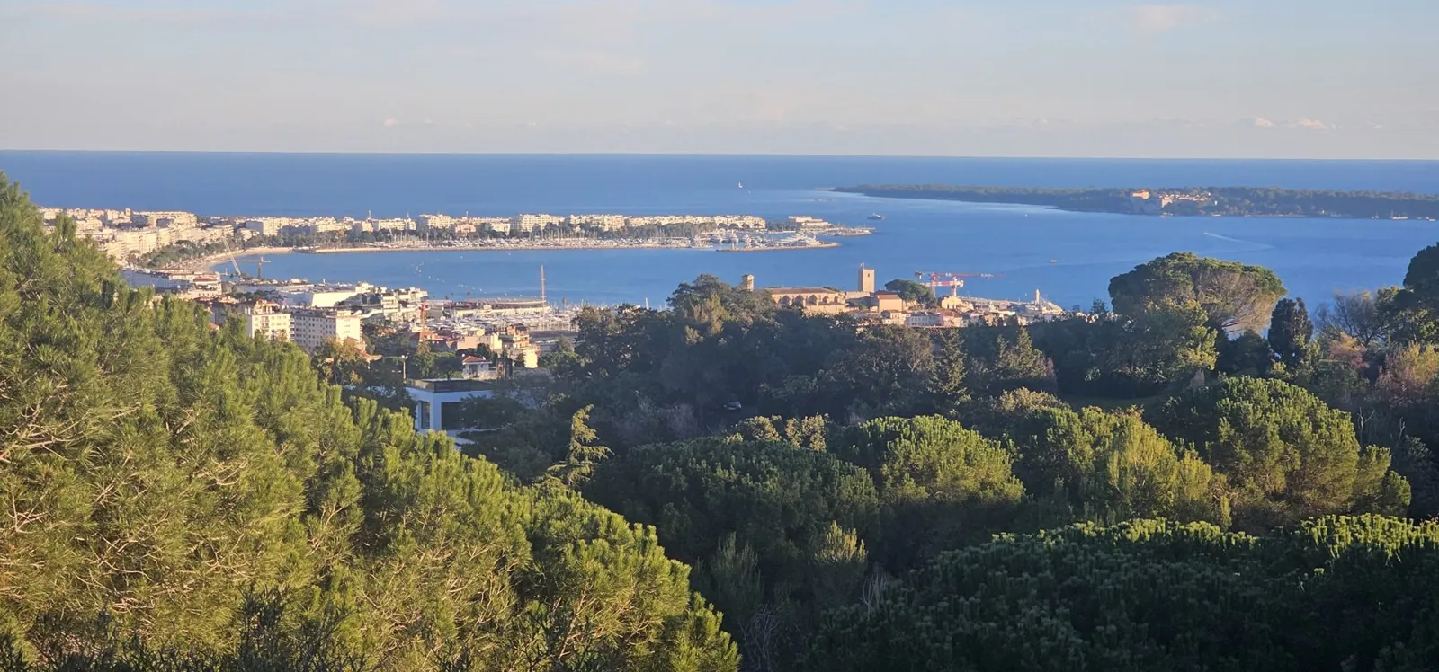 SuperVue: Blick auf Cannes