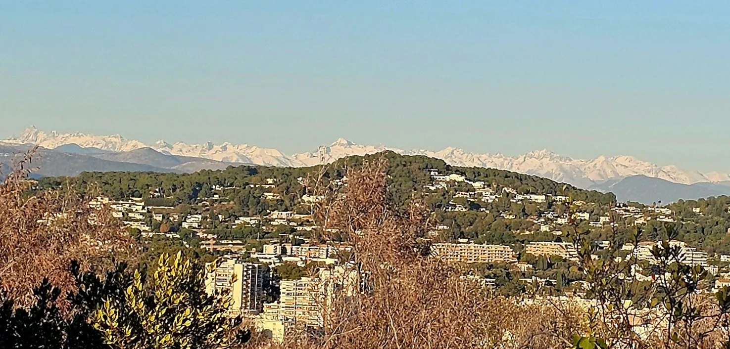 SuperVue: Blick zu den Alpen